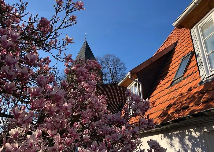 Dudenhaus Soest / Anno 1554 / Am Brauhaus Zwiebel